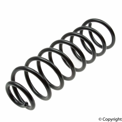 Rear Coil Spring by LESJOFORS - 4277815 pa2