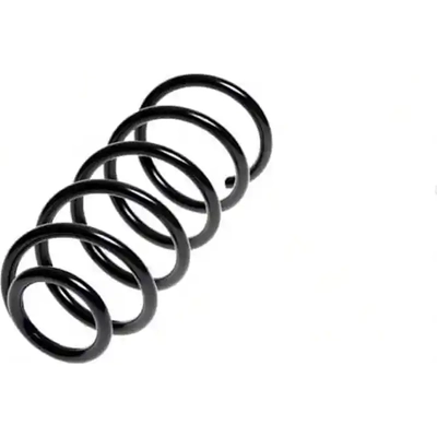 Rear Coil Spring by LESJOFORS - 4286000 pa2