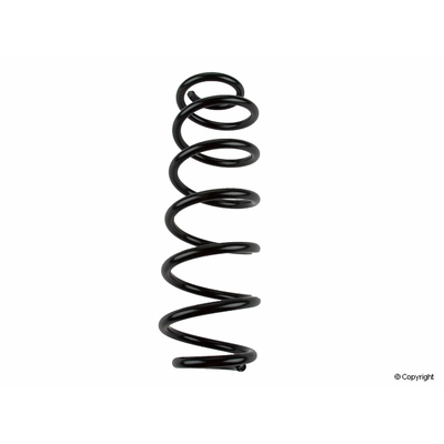 Rear Coil Spring by LESJOFORS - 4295038 pa2