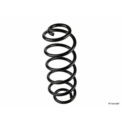 Rear Coil Spring by LESJOFORS - 4295044 pa1