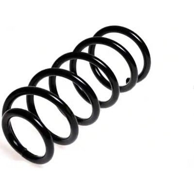 LESJOFORS - 4295048 - Rear Coil Spring pa5