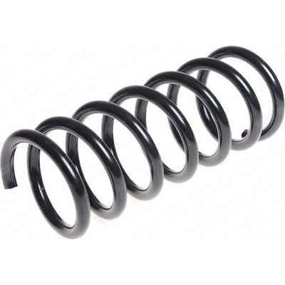 LESJOFORS - 4295859 - Rear Coil Springs pa2
