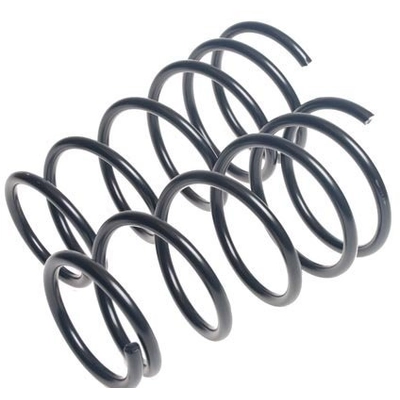 LESJOFORS - 4427561 - Rear Coil Spring Set pa1