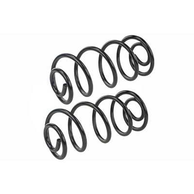 Rear Coil Springs by MEVOTECH - SMS5329 pa3