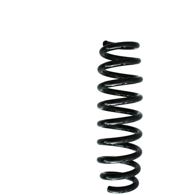 Rear Coil Springs by SUPLEX PARTS - 06346 pa1