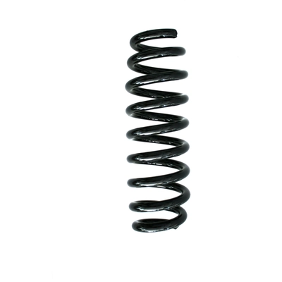 Rear Coil Springs by SUPLEX PARTS - 06348 pa1