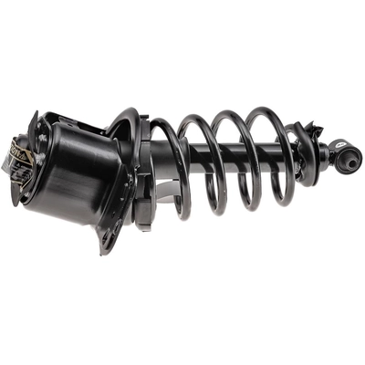 Rear Complete Strut Assembly by EVOLUTION - V15042 pa3