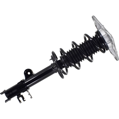 Rear Complete Strut Assembly by FCS AUTOMOTIVE - 1334309R pa1