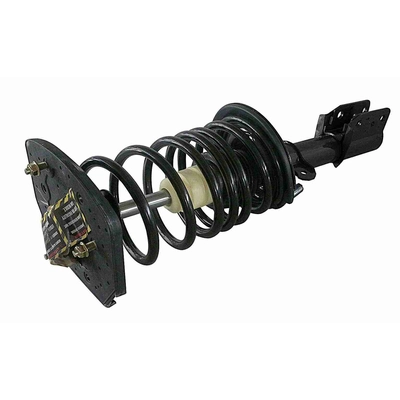 GSP NORTH AMERICA - 810216 - Suspension Strut and Coil Spring Assembly - Rear Right pa3