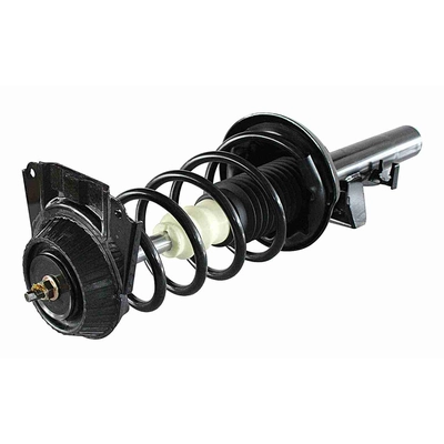 GSP NORTH AMERICA - 811030 - Suspension Strut and Coil Spring Assembly - Rear pa1
