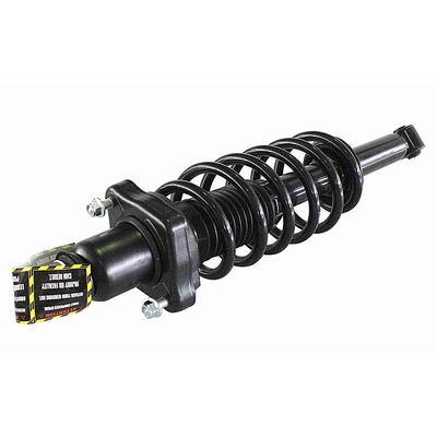 GSP NORTH AMERICA - 811120 - Suspension Strut and Coil Spring Assembly pa1