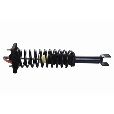 GSP NORTH AMERICA - 812116 - Suspension Strut and Coil Spring Assembly - Rear pa2