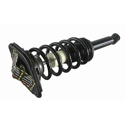 GSP NORTH AMERICA - 853021 - Suspension Strut and Coil Spring Assembly - Rear pa2