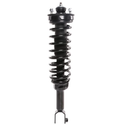 PRT - 810110 - Suspension Strut and Coil Spring Assembly pa1