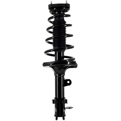 WORLDPARTS STRUTS - W1331901R - Rear Complete Strut Assembly pa1