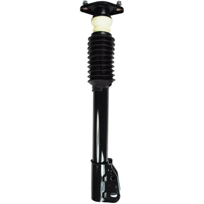 WORLDPARTS STRUTS - W1332310 - Rear Complete Strut Assembly pa1