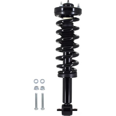 WORLDPARTS STRUTS - W1333320R - Rear Complete Strut Assembly pa2
