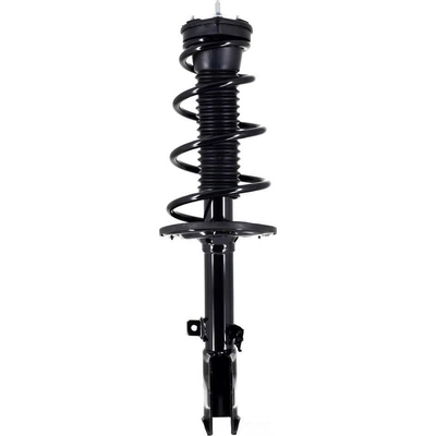 WORLDPARTS STRUTS - W1333376R - Rear Complete Strut Assembly pa1