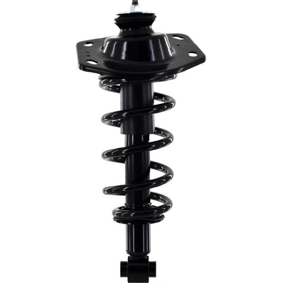 WORLDPARTS STRUTS - W1345825R - Rear Complete Strut Assembly pa1