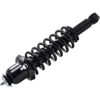 WORLDPARTS STRUTS - W1345845R - Rear Complete Strut Assembly pa2