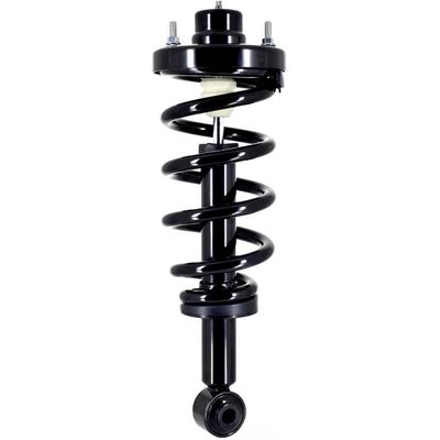 WORLDPARTS STRUTS - W1355062 - Rear Complete Strut Assembly pa3
