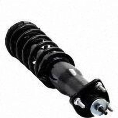 Rear Complete Strut Assembly by WORLDPARTS STRUTS - W1345480R pa4