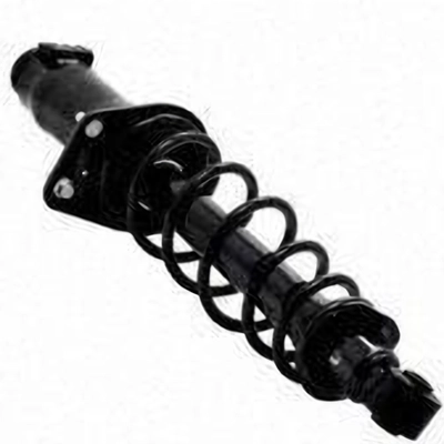 Rear Complete Strut Assembly by WORLDPARTS STRUTS - W1345971L pa2