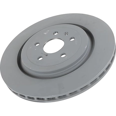 Rear Disc Brake Rotor by ACDELCO - 84519605 pa2