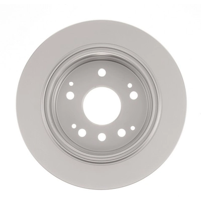 AGNA BRAKES - CR31316 - Rear Disc Brake Rotor pa2