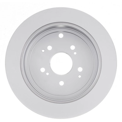 AGNA BRAKES - CR31318 - Rear Disc Brake Rotor pa1