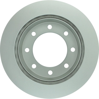 Rear Disc Brake Rotor by BOSCH - 20010310 pa2