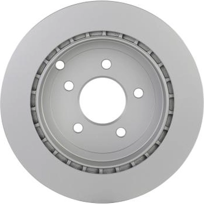 Rear Disc Brake Rotor by BOSCH - 20010513 pa6