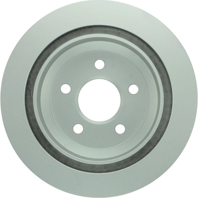 Rear Disc Brake Rotor by BOSCH - 25010591 pa1