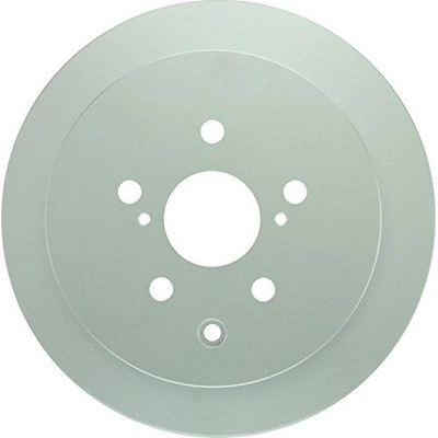 BOSCH - 50011501 - Rear Disc Brake Rotor pa1