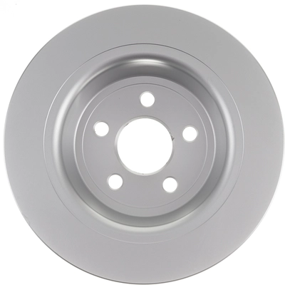 BREMSEN - BFO1036 - Rear Disc Brake Rotor pa15