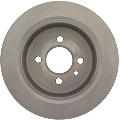 Rear Disc Brake Rotor by CENTRIC PARTS - 121.34019 pa5