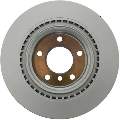 Rear Disc Brake Rotor by CENTRIC PARTS - 320.34107H pa8