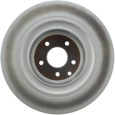 Rear Disc Brake Rotor by CENTRIC PARTS - 320.42101 pa11