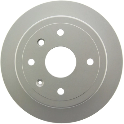 Rear Disc Brake Rotor by CENTRIC PARTS - 320.49010F pa8