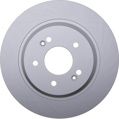 Rear Disc Brake Rotor by CENTRIC PARTS - 320.50051F pa1