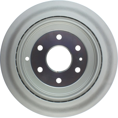 Rear Disc Brake Rotor by CENTRIC PARTS - 320.66070 pa2