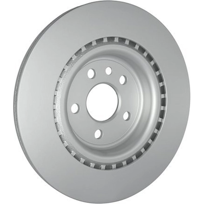 HELLA PAGID - 355132601 - Brake Rotor (Pack of 2) pa5