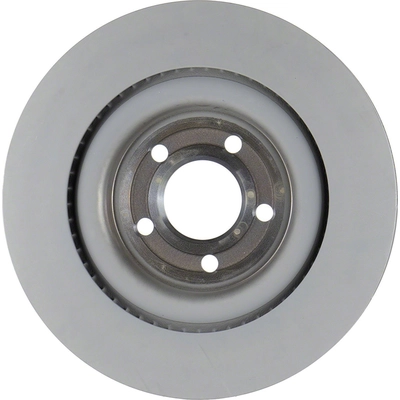 MOTORCRAFT - BRRF405 - Rear Disc Brake Rotor pa1