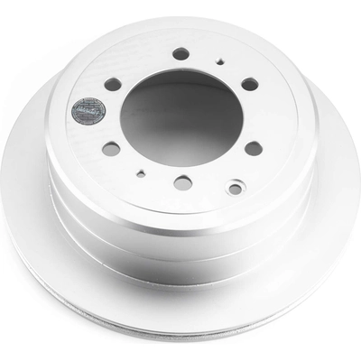 Rear Disc Brake Rotor by POWER STOP - JBR743EVC pa1