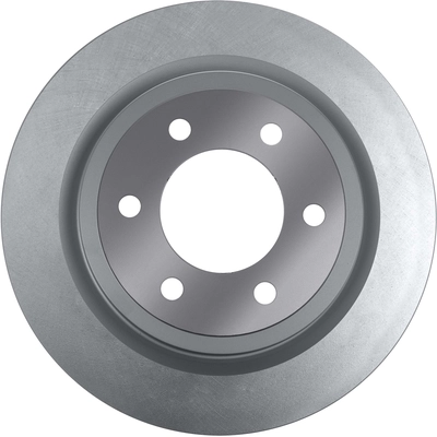 Rear Disc Brake Rotor by PROFUSION - AFO1080 pa1