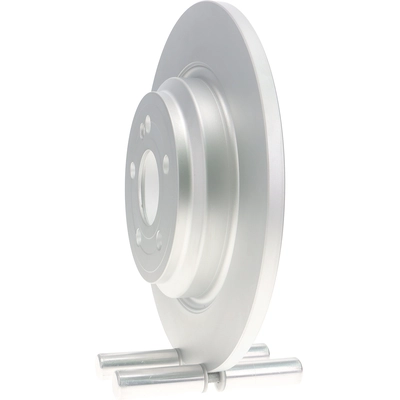 PROMAX - 20-620113 - Rear Disc Brake Rotor pa2