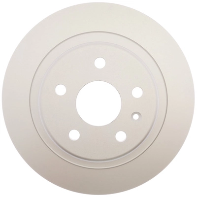 RAYBESTOS - 582456FZN - Rear Disc Brake Rotor pa1