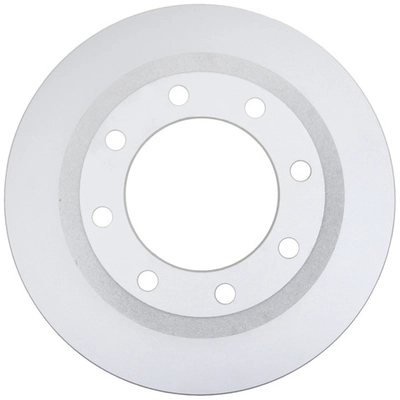 RAYBESTOS - 681017FZN - Rear Disc Brake Rotor pa1