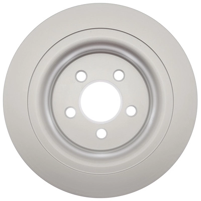 RAYBESTOS - 681955FZN - Rear Disc Brake Rotor pa2