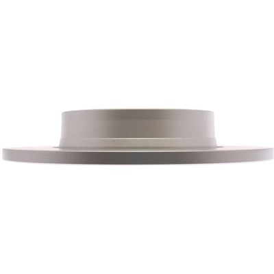 RAYBESTOS - 682429FZN - Rear Disc Brake Rotor pa1